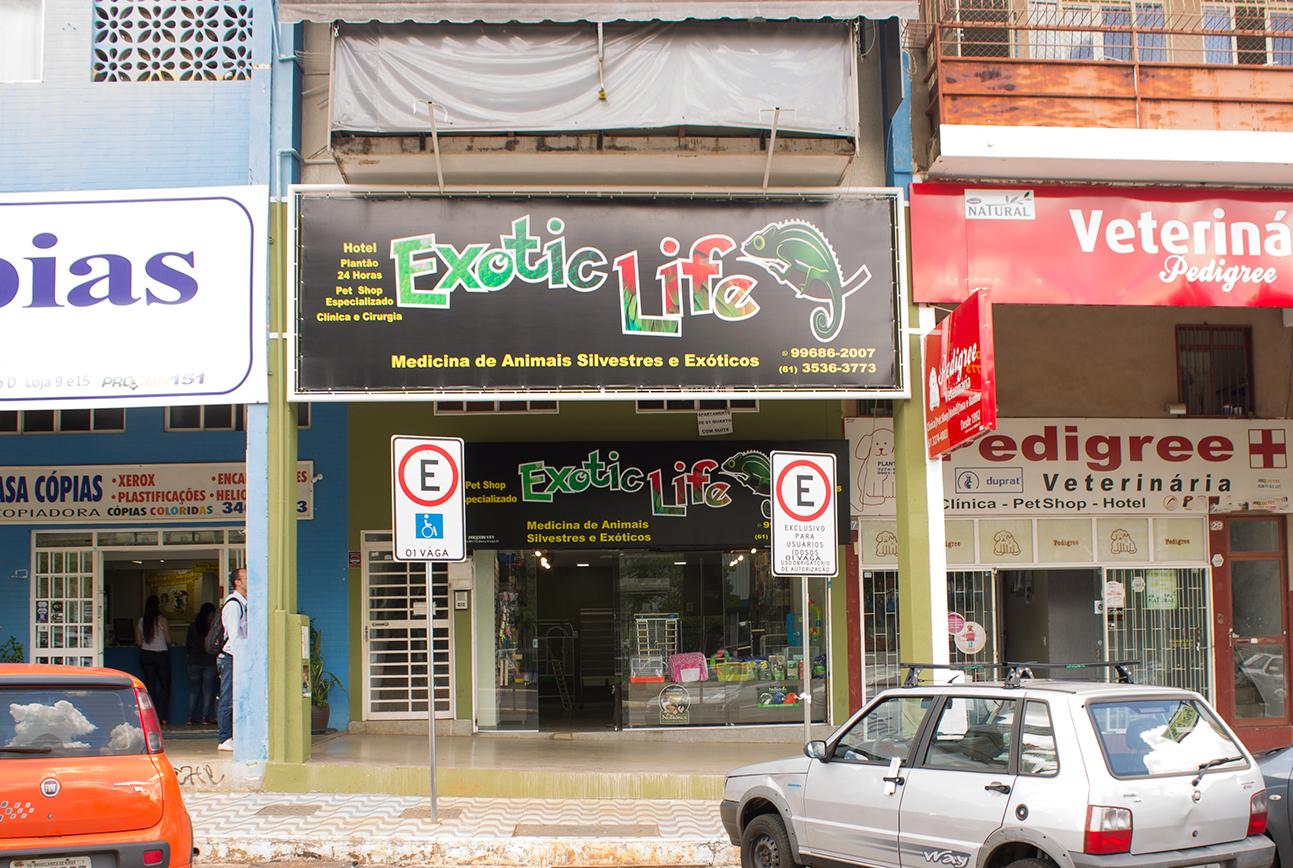 Exotic Life - Veterinário Calopsita, Papagaio, Coelho, Porquinho da Índia, Aves e Répteis