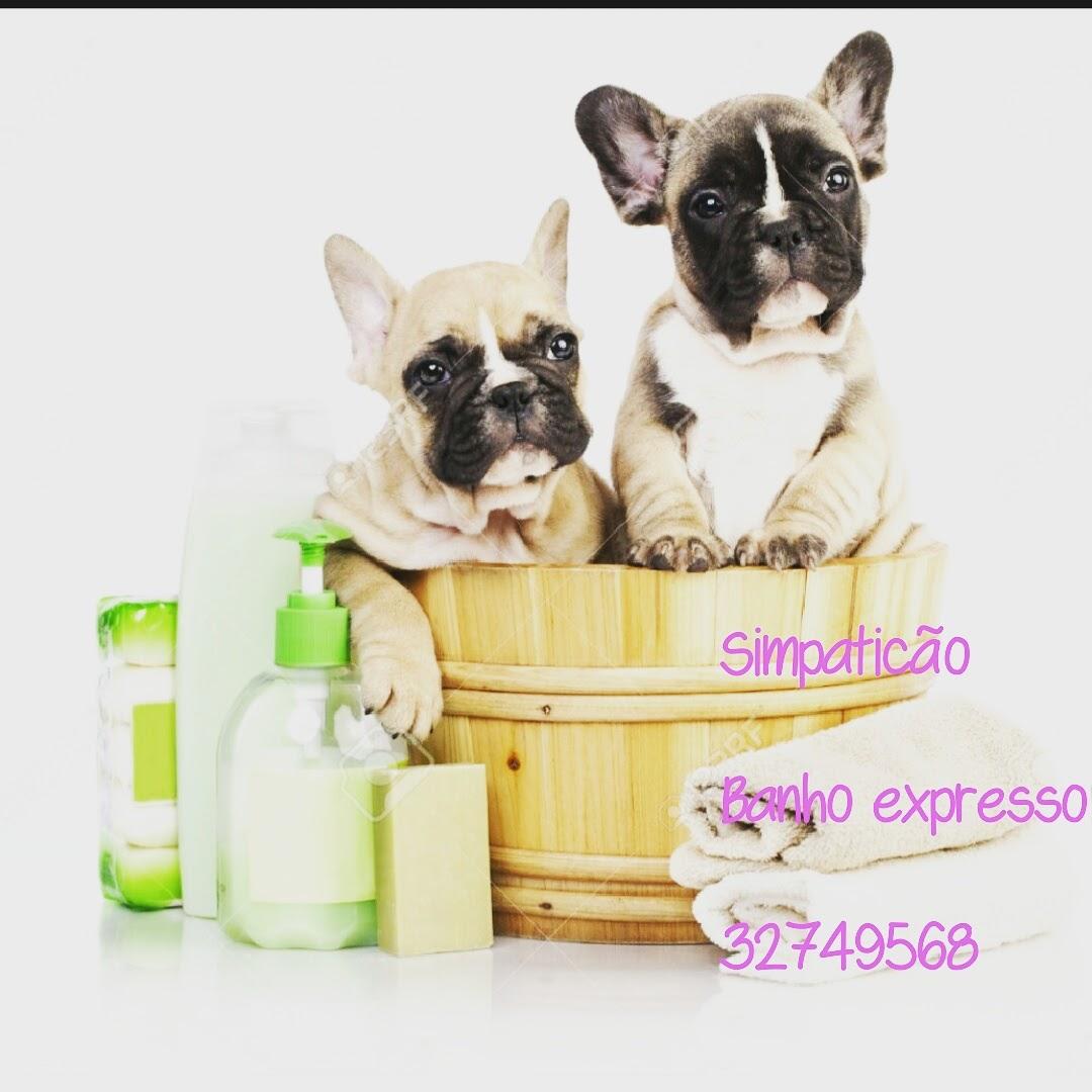 Simpaticão Clínica Veterinária