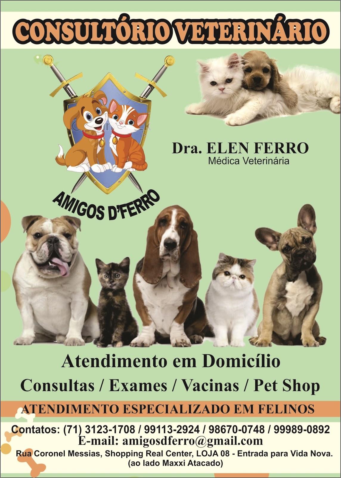 AMIGOS D´FERRO CONSULTÓRIO VETERINÁRIO
