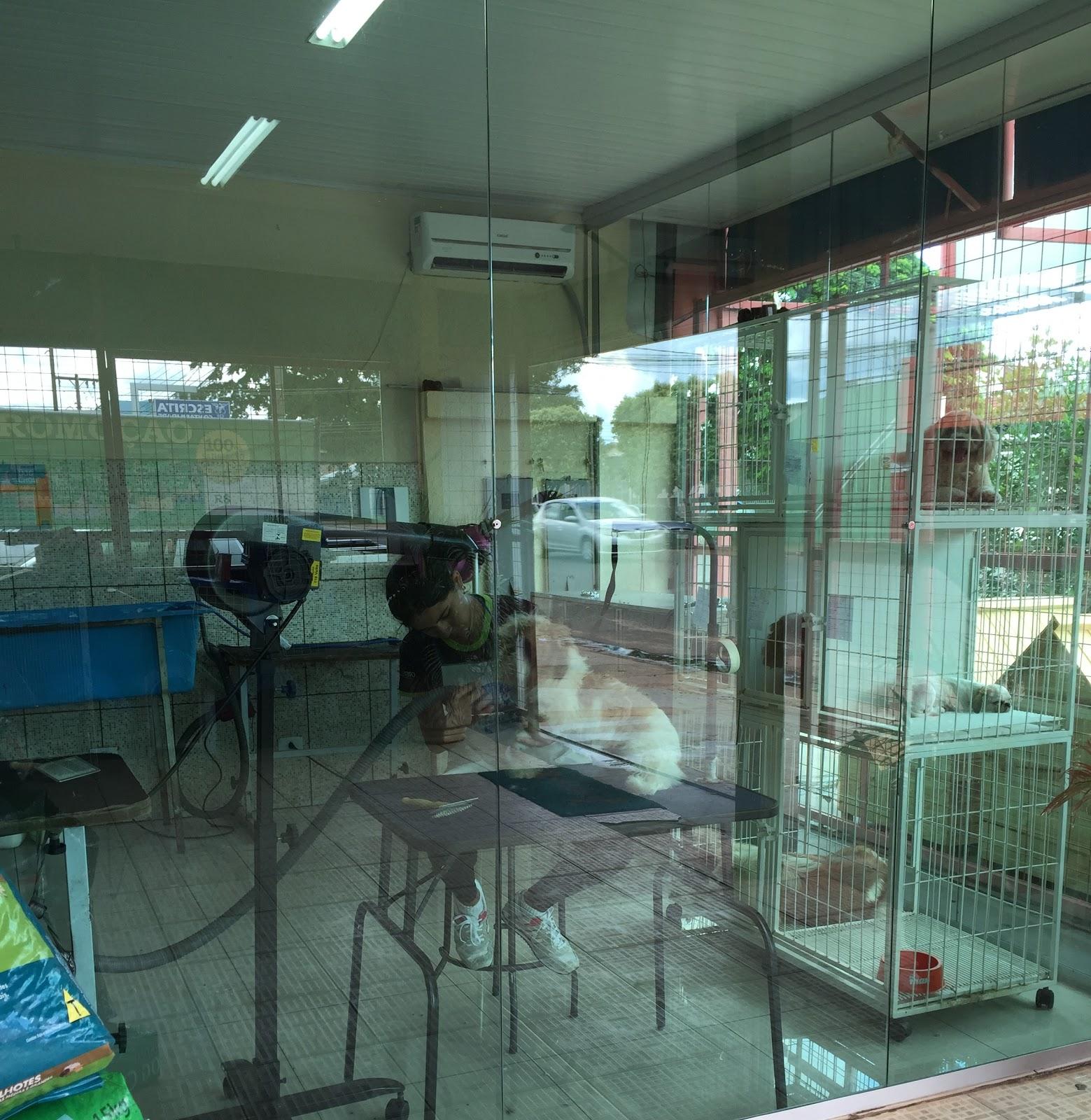 Bright Veterinary Clinic and Pet Shop
