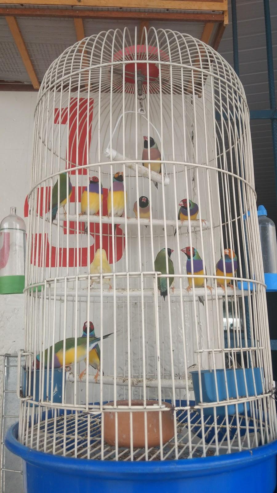 THE HOUSE OF ANIMALS