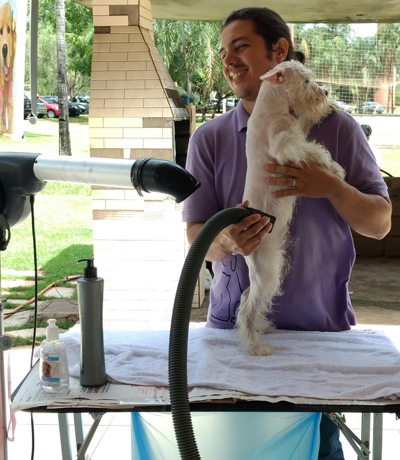 Pet Shop Amor Animal