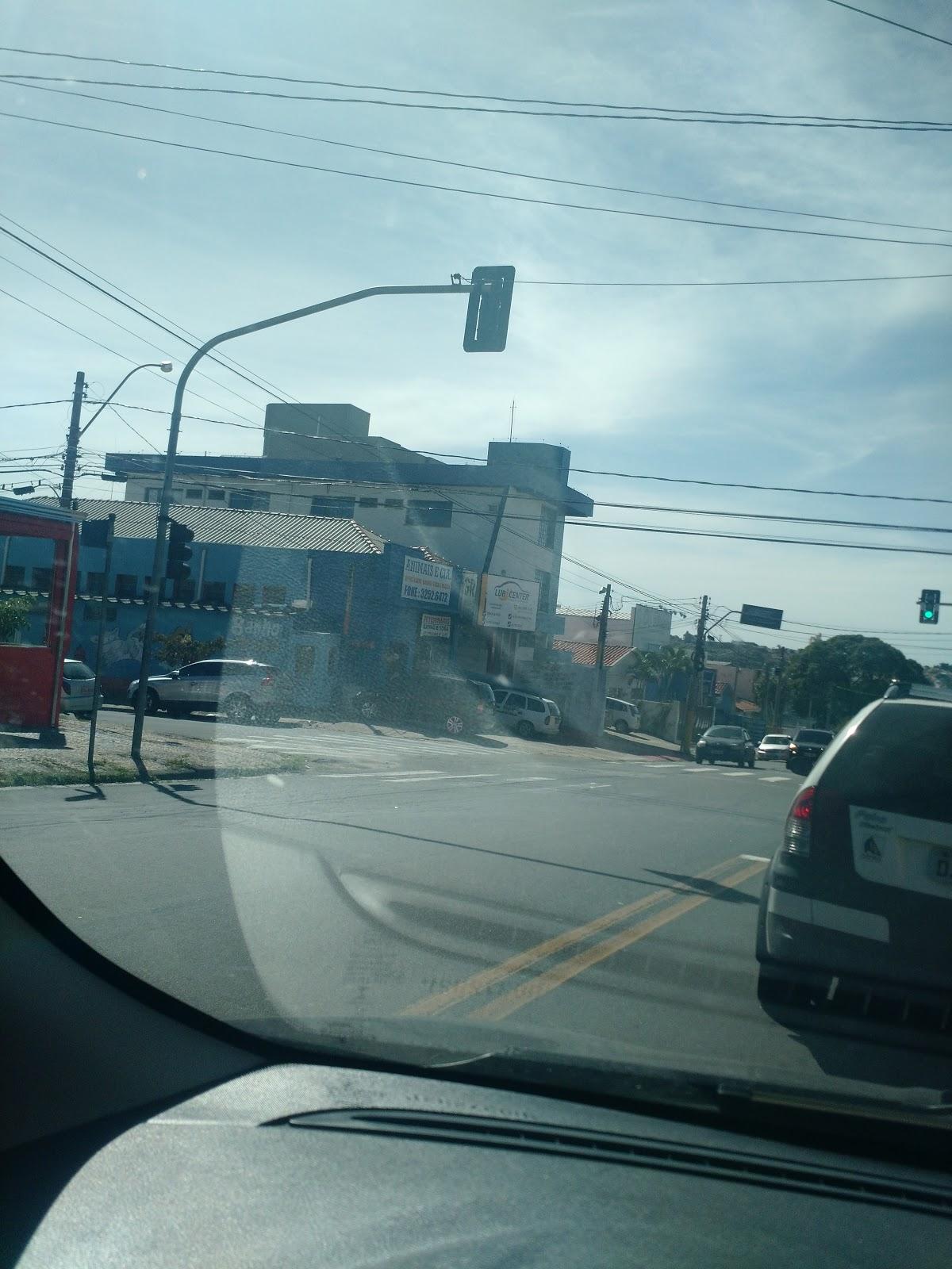 Animais & Cia Veterinário Banho e Tosa