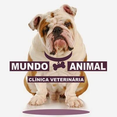 Mundo Animal Clínica Veterinária Paulínia