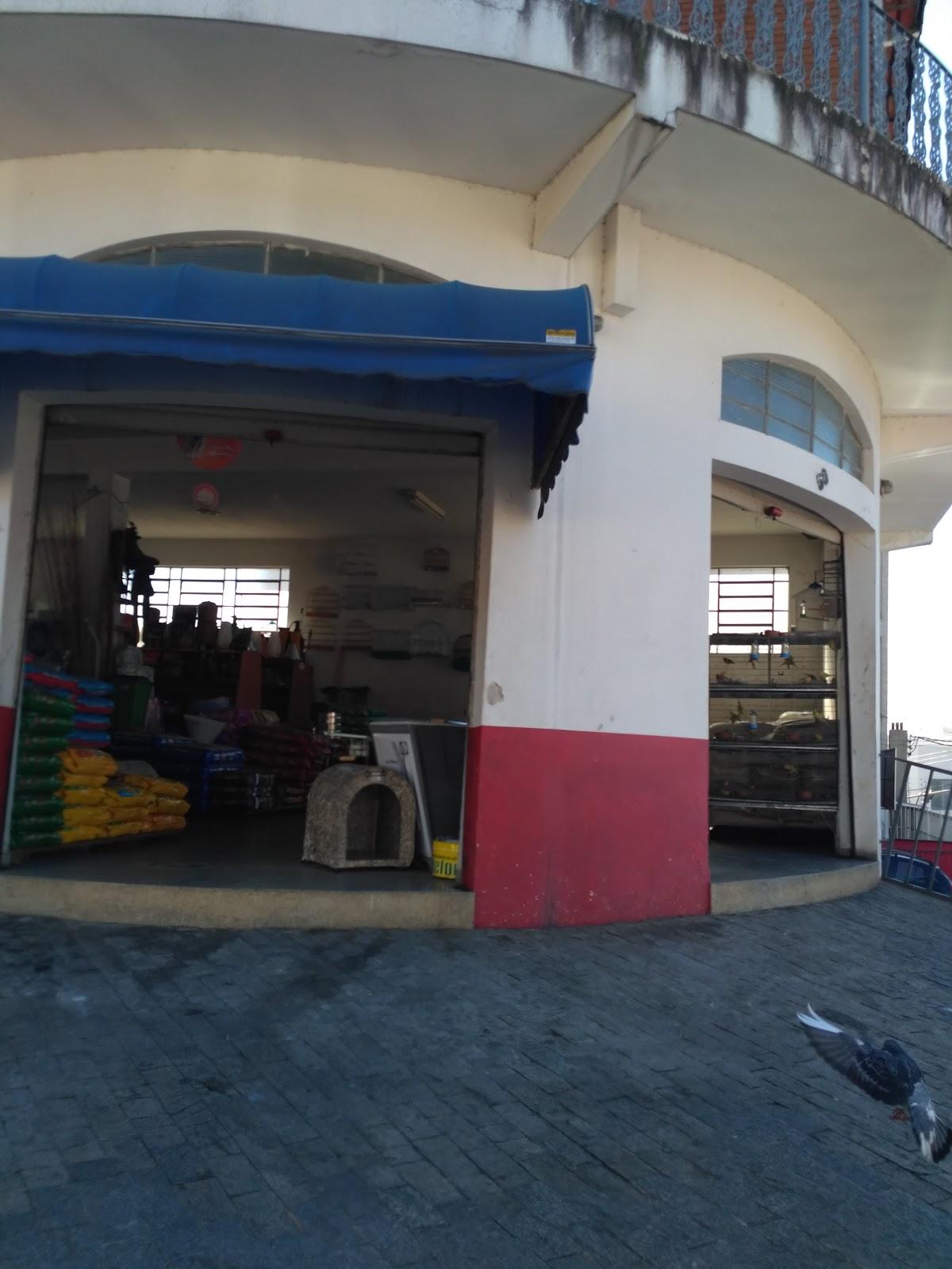 S Polli Agropecuária