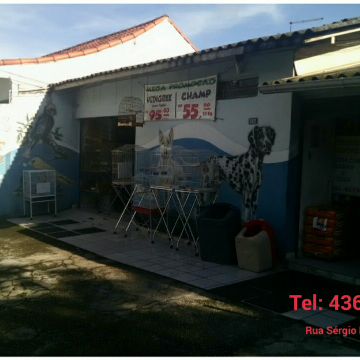 Avicultura Jordanópolis