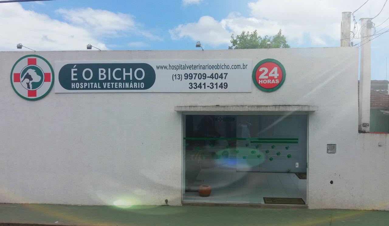 Hospital Veterinário É O Bicho 24 Horas
