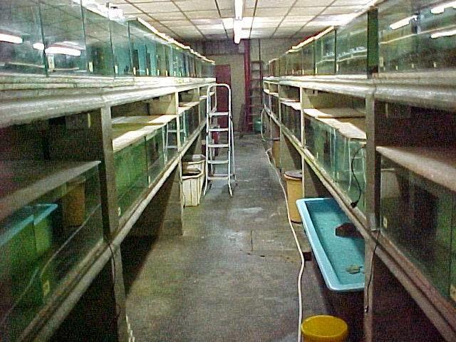 Netuno Aquarium