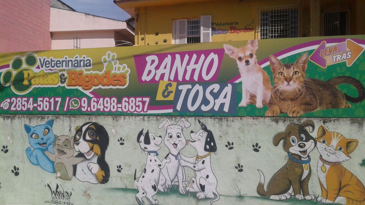 Patas e Bigodes