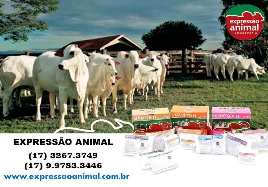 Homeopatia Veterinária destinada a Saúde e Produção Animal