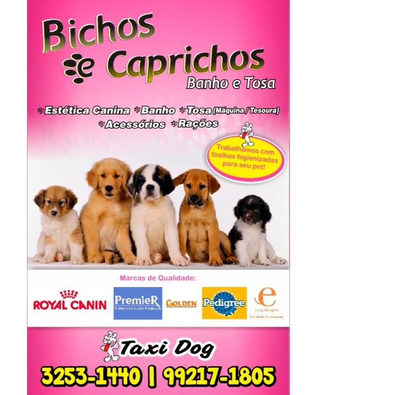 Bichos e Caprichos Pet Shop