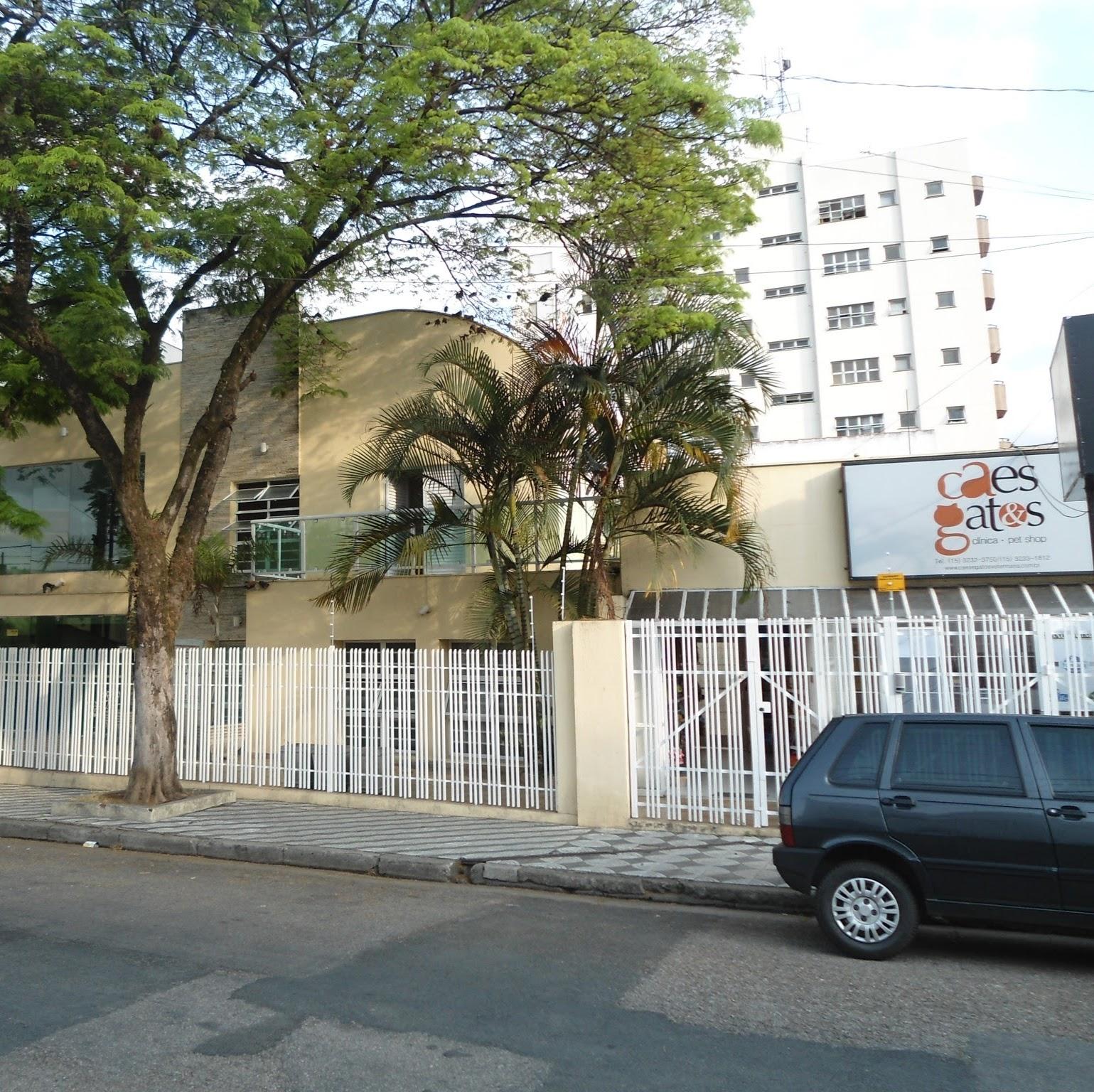 DOGS AND CATS SOROCABA