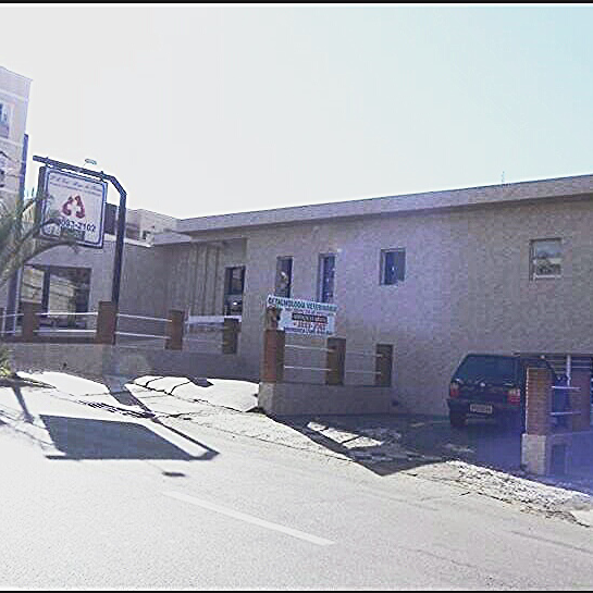 P. A. Vet. - Anjo de Patas