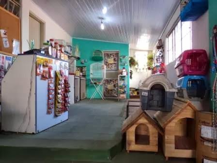 Pet Shop Stop Cão