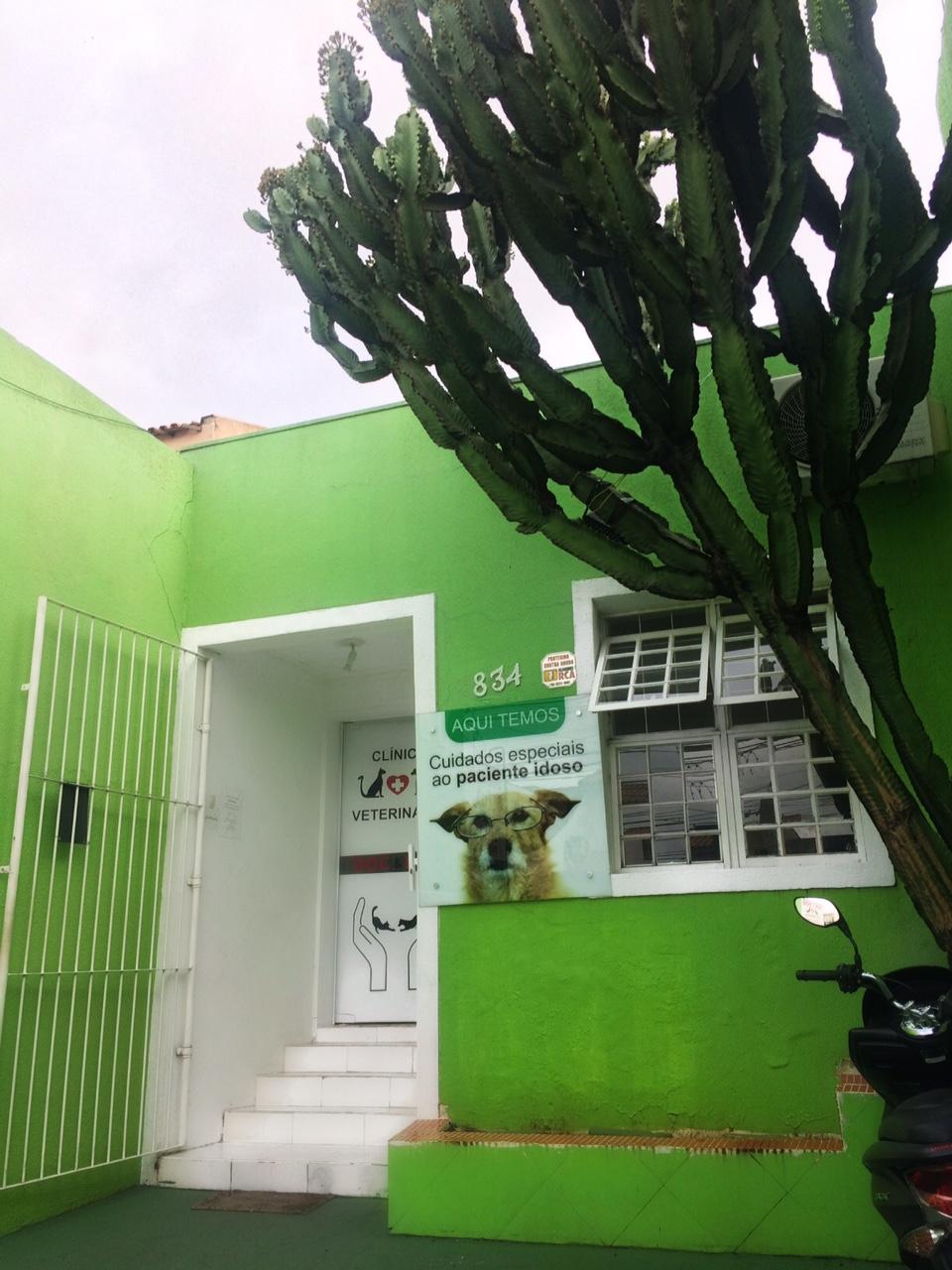 Clinica Veterinaria Doc & Dog