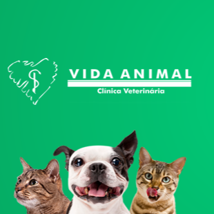 Animal life - Veterinary Clinic 24 hours - Betim