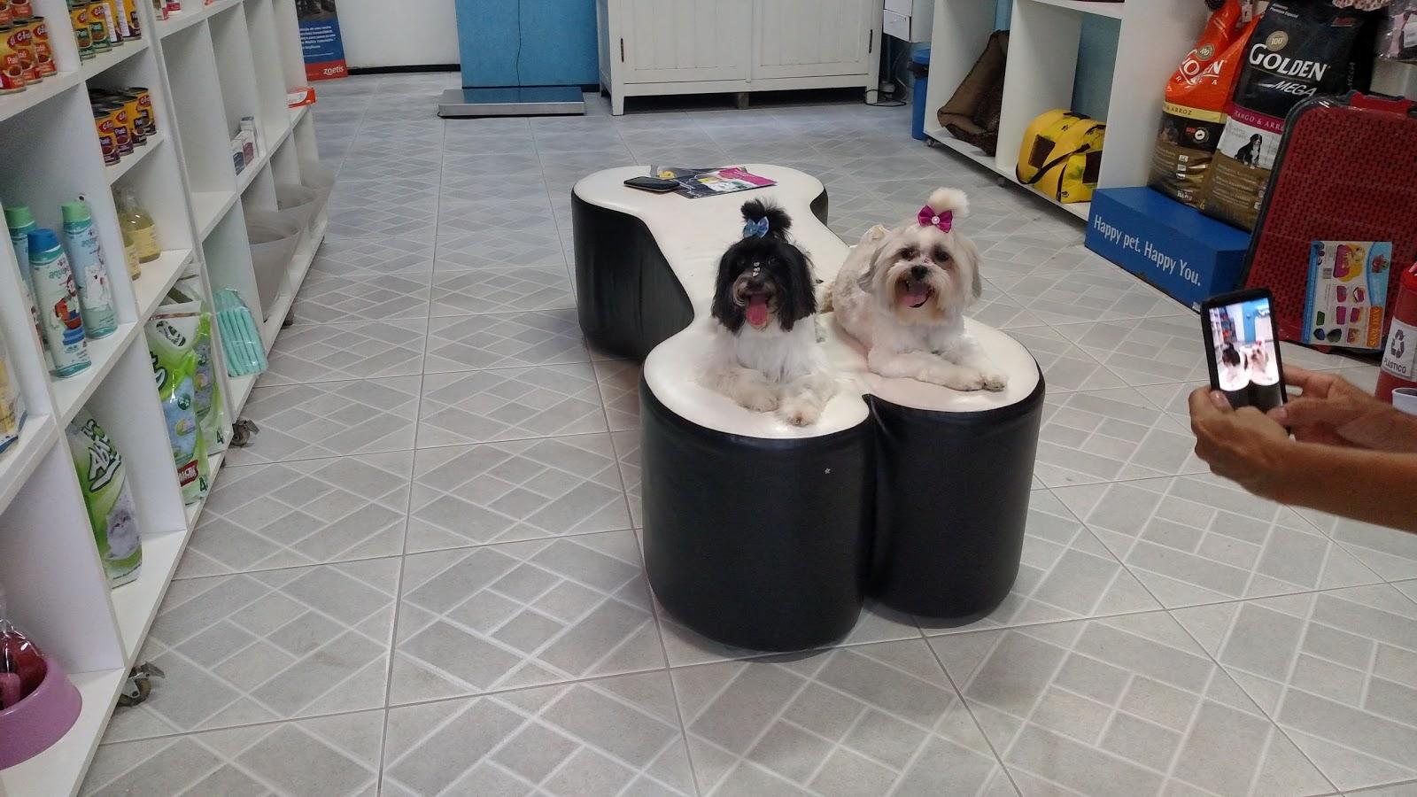 Pet Life