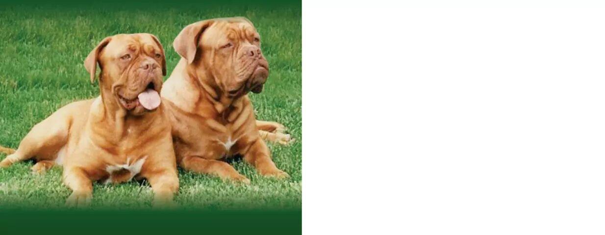 Casa de Rações Matos