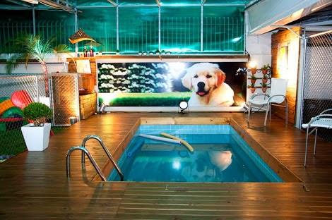 Pet Spa