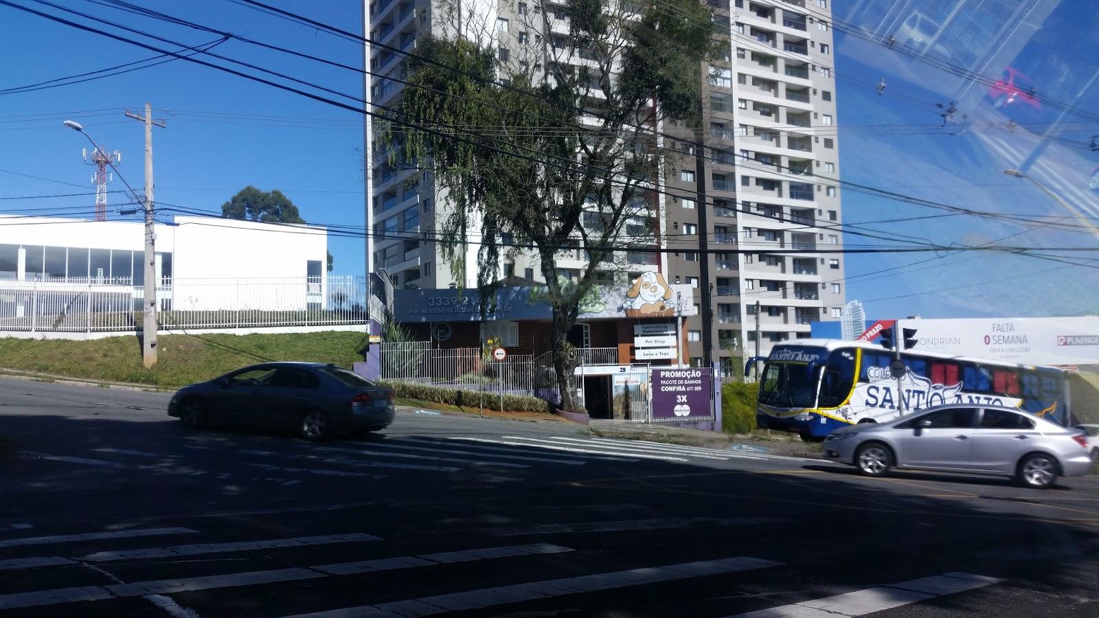 Essência do Cão