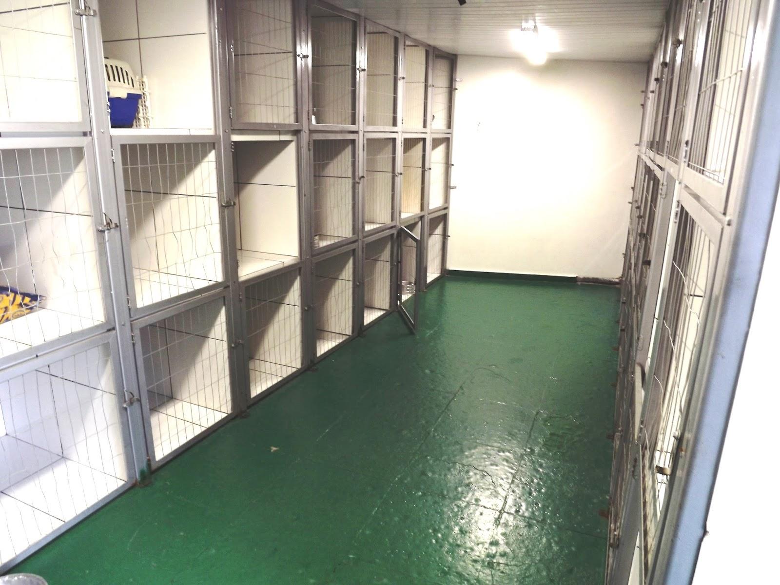 Bem Cuidado Pet Shop