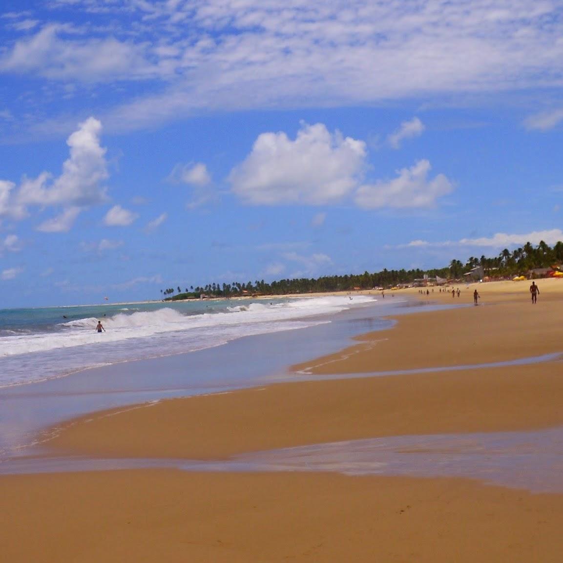 Pet Shop São José Verde