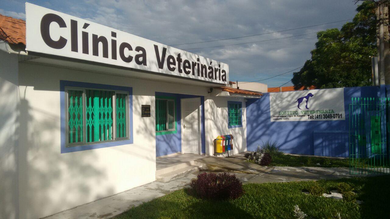 Lositto Veterinária