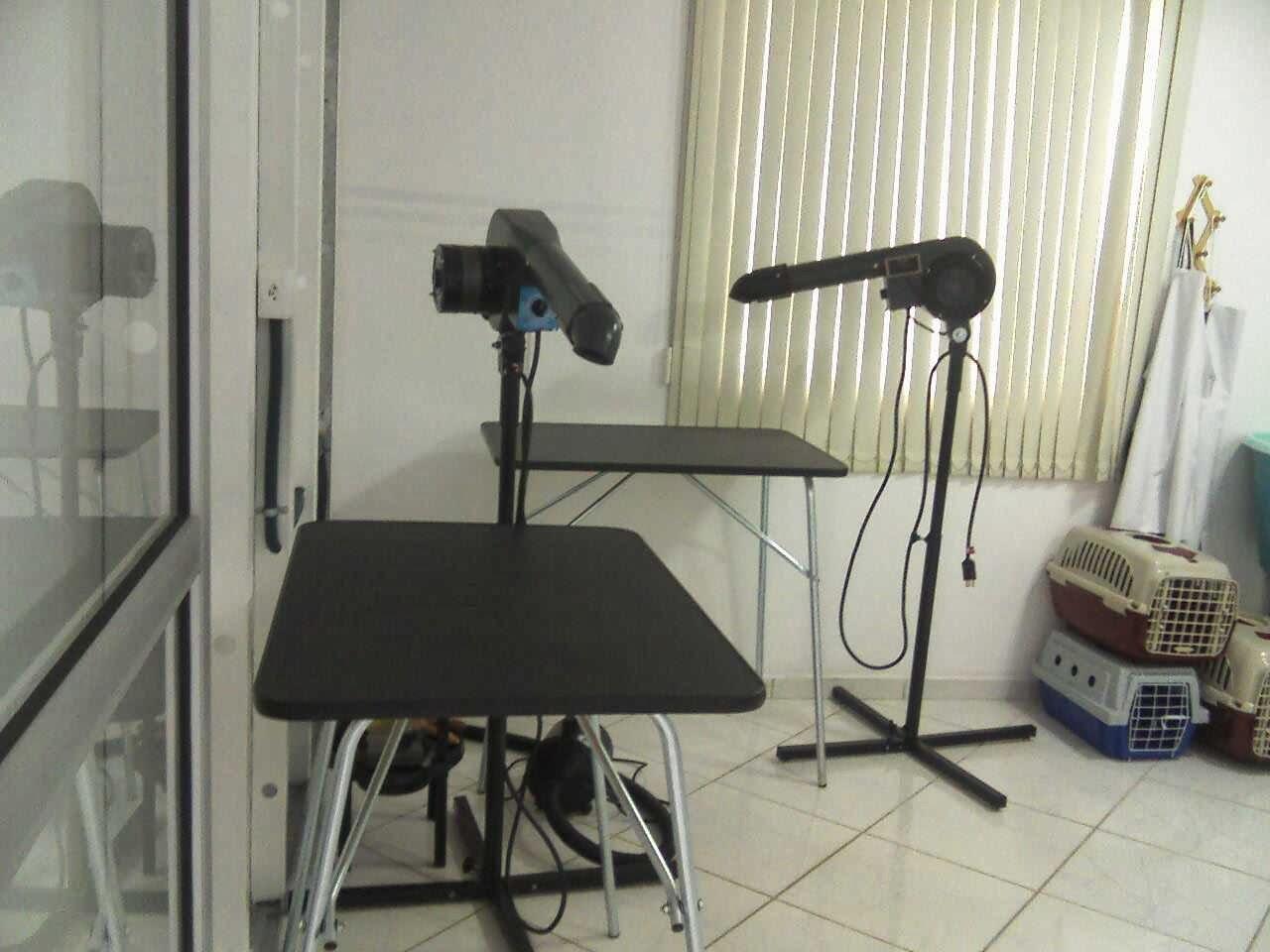 Pet Tody -Estética Canina