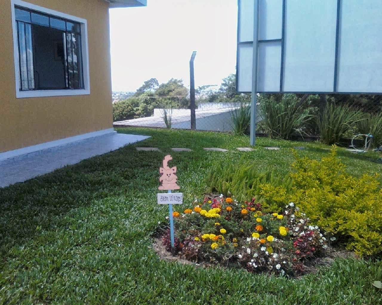 Colméia Clínica Veterinária