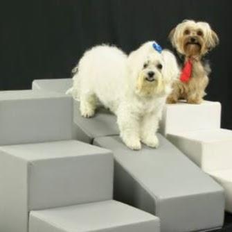 Petescadas - escadas para cães