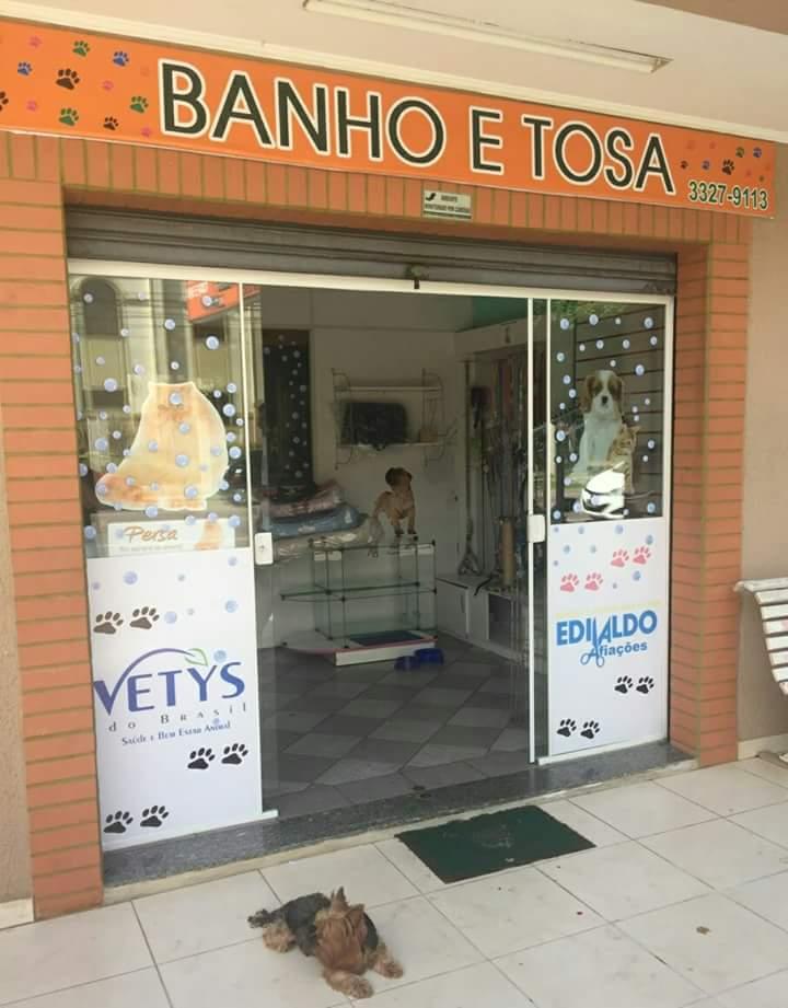 Pet Shop Bichinho Amigo