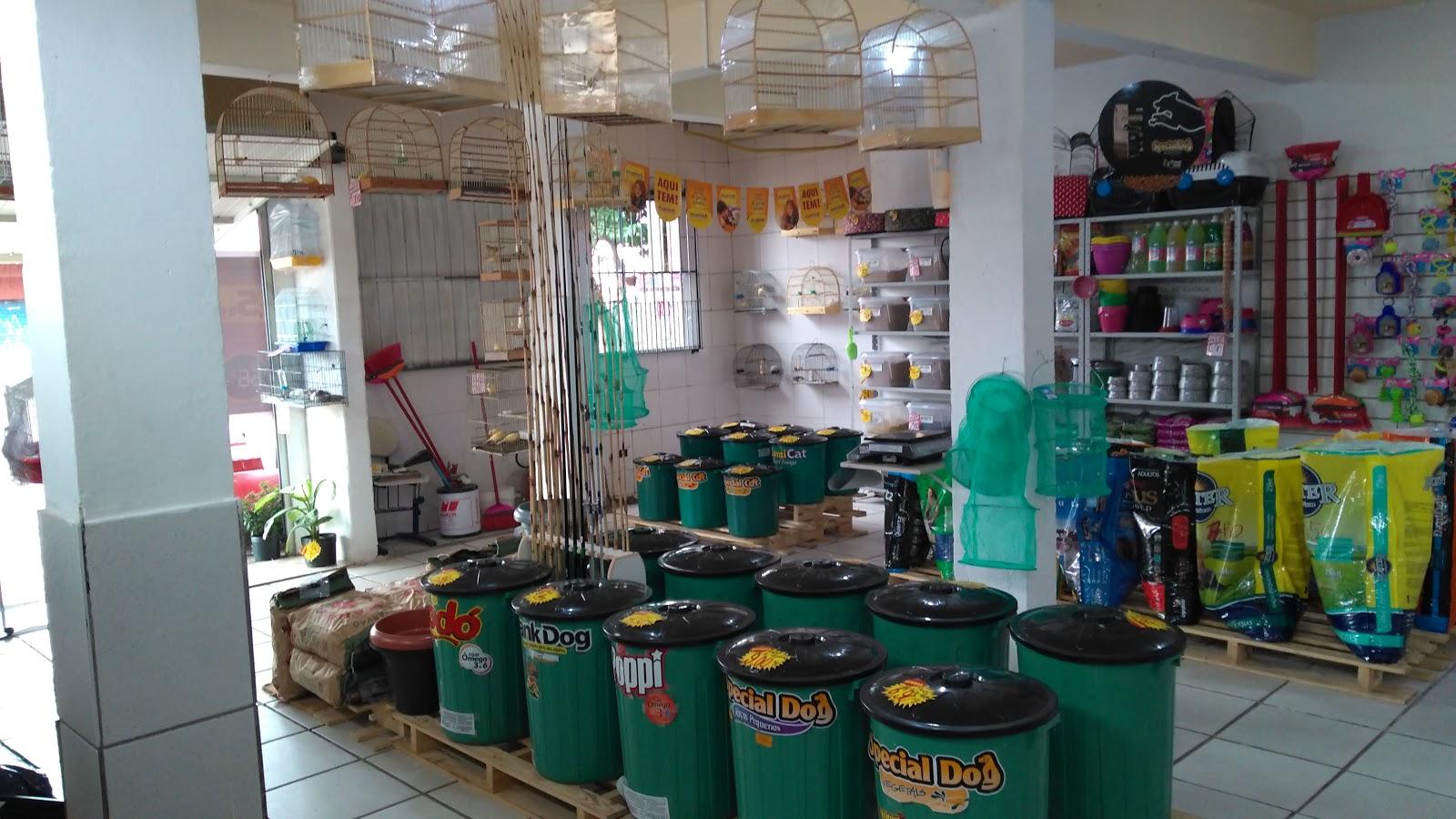 Aviário Casa pet
