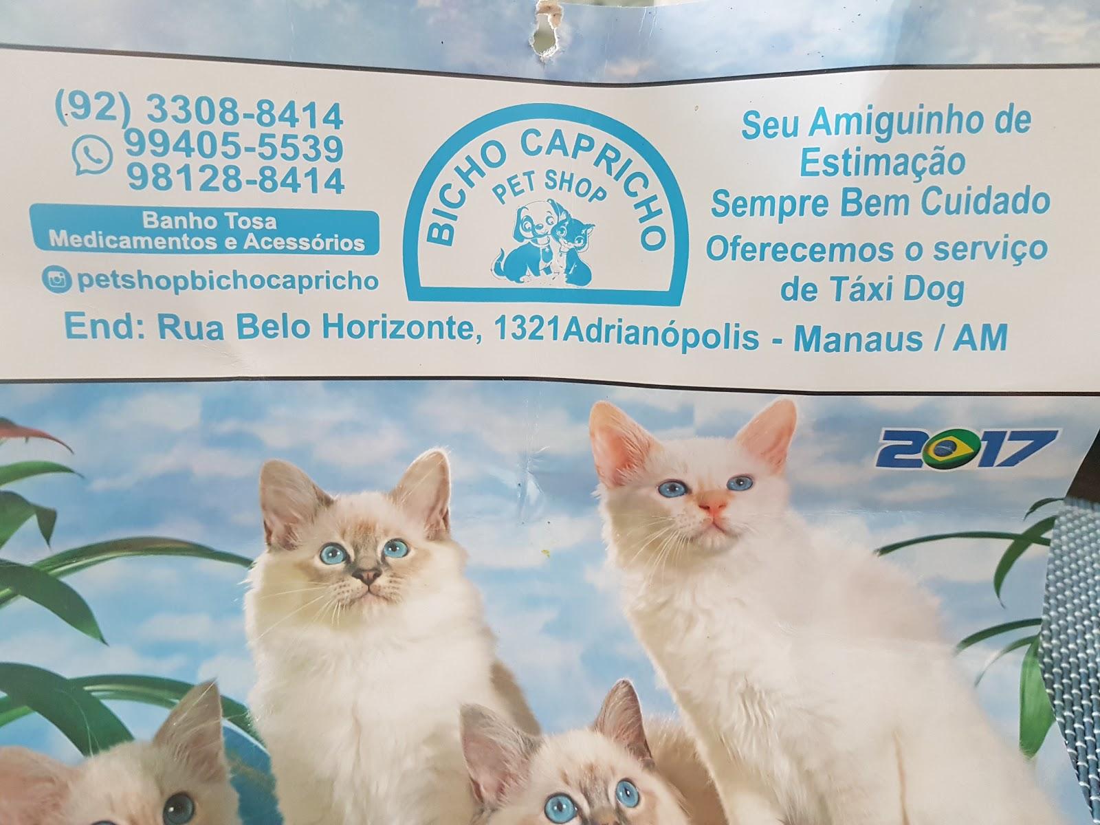 Pet Shop Bicho Capricho