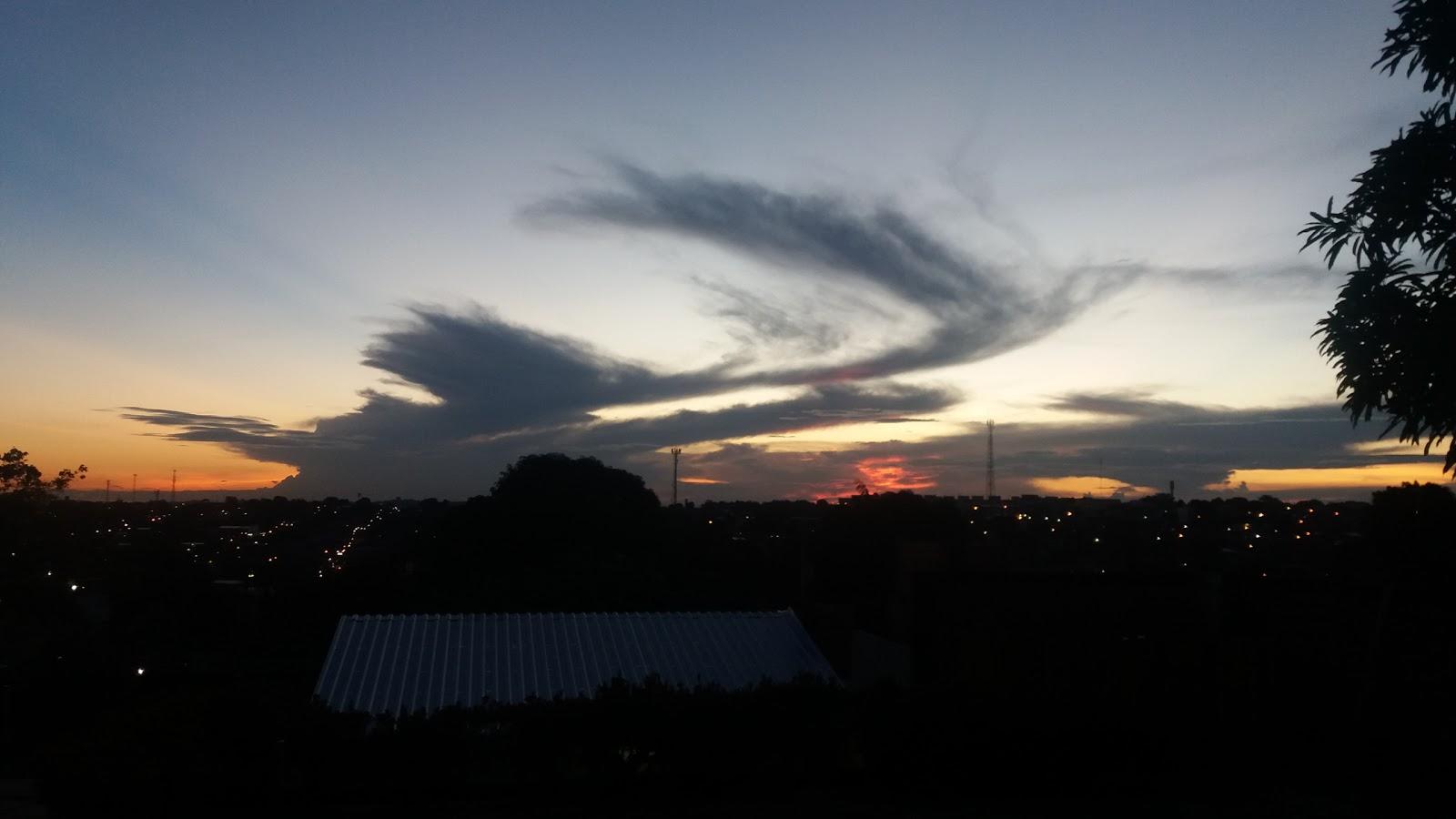 Clínica Veterinária Shopping da Natureza