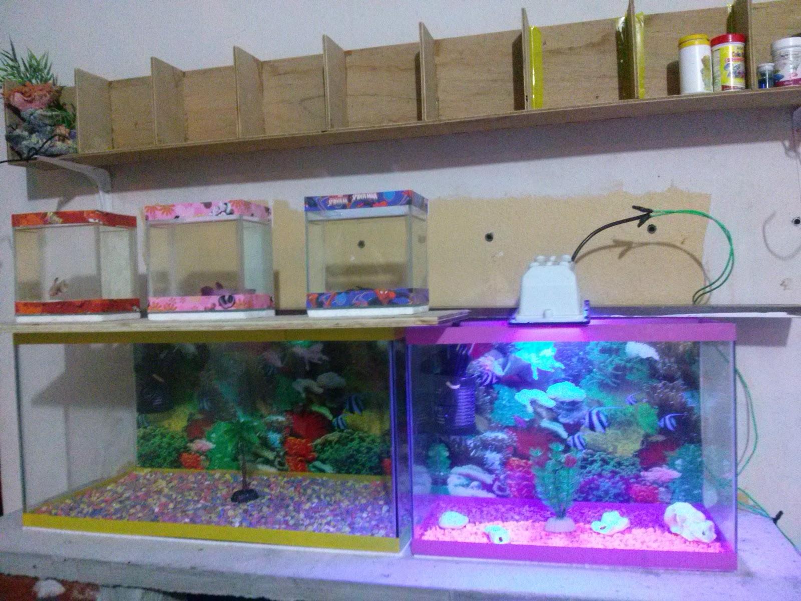 Aquamazon