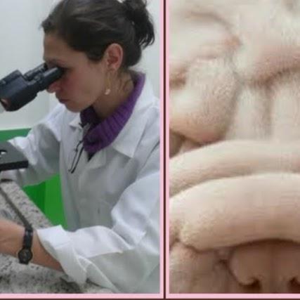 Pele Pet Dermatologia Veterinaria