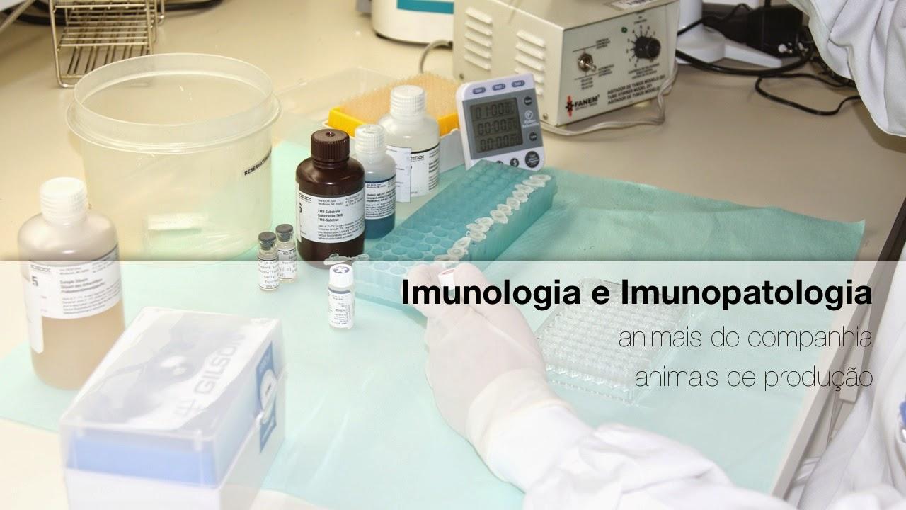 Axys Análises - Laboratório Veterinário e Consultoria Diagnóstica