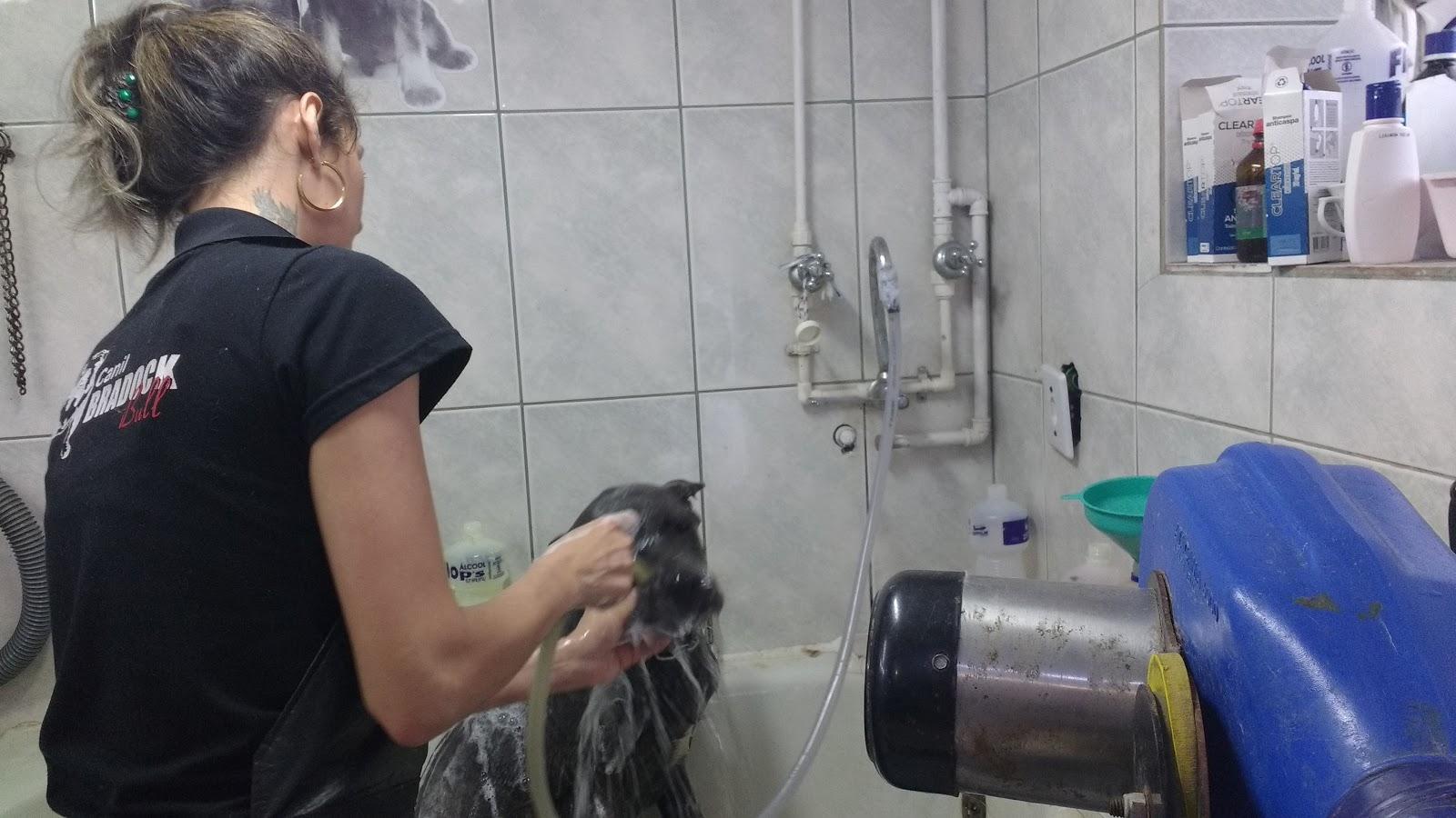 Clínica Veterinária Dr. André Plentz