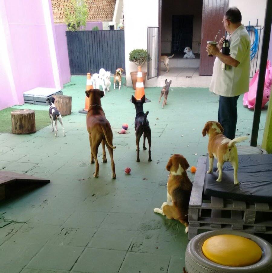 Big Dogs Brasil Pet Shop