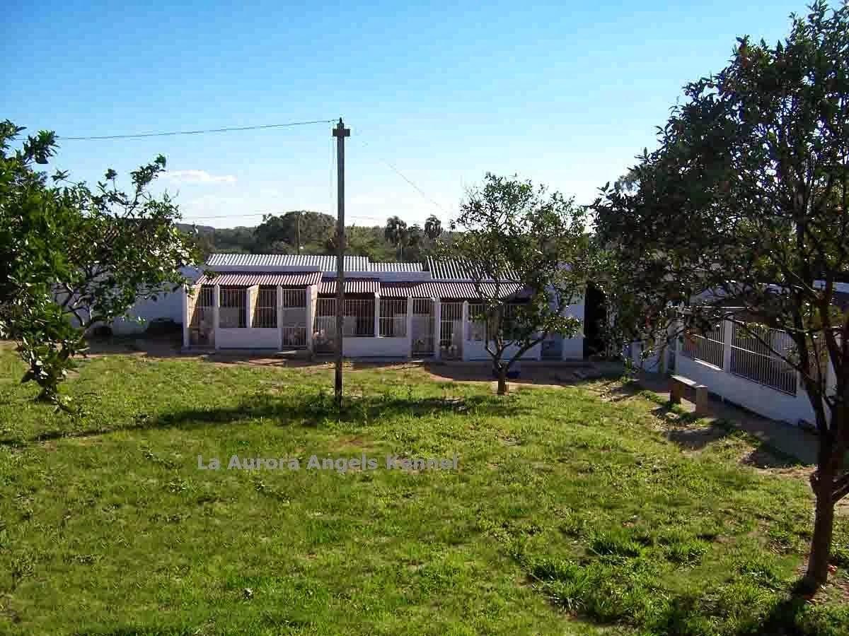 LA AURORA ANGELS KENNEL