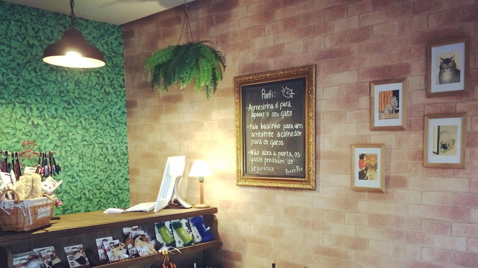 O Gato - Consultório Felino