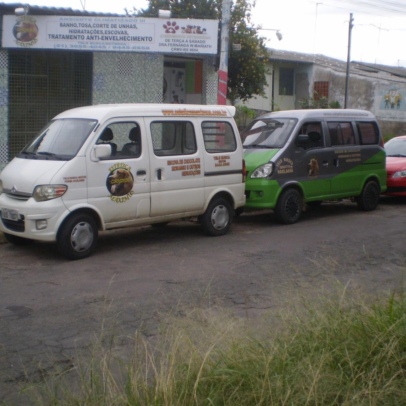 Estetica Canina Maximus