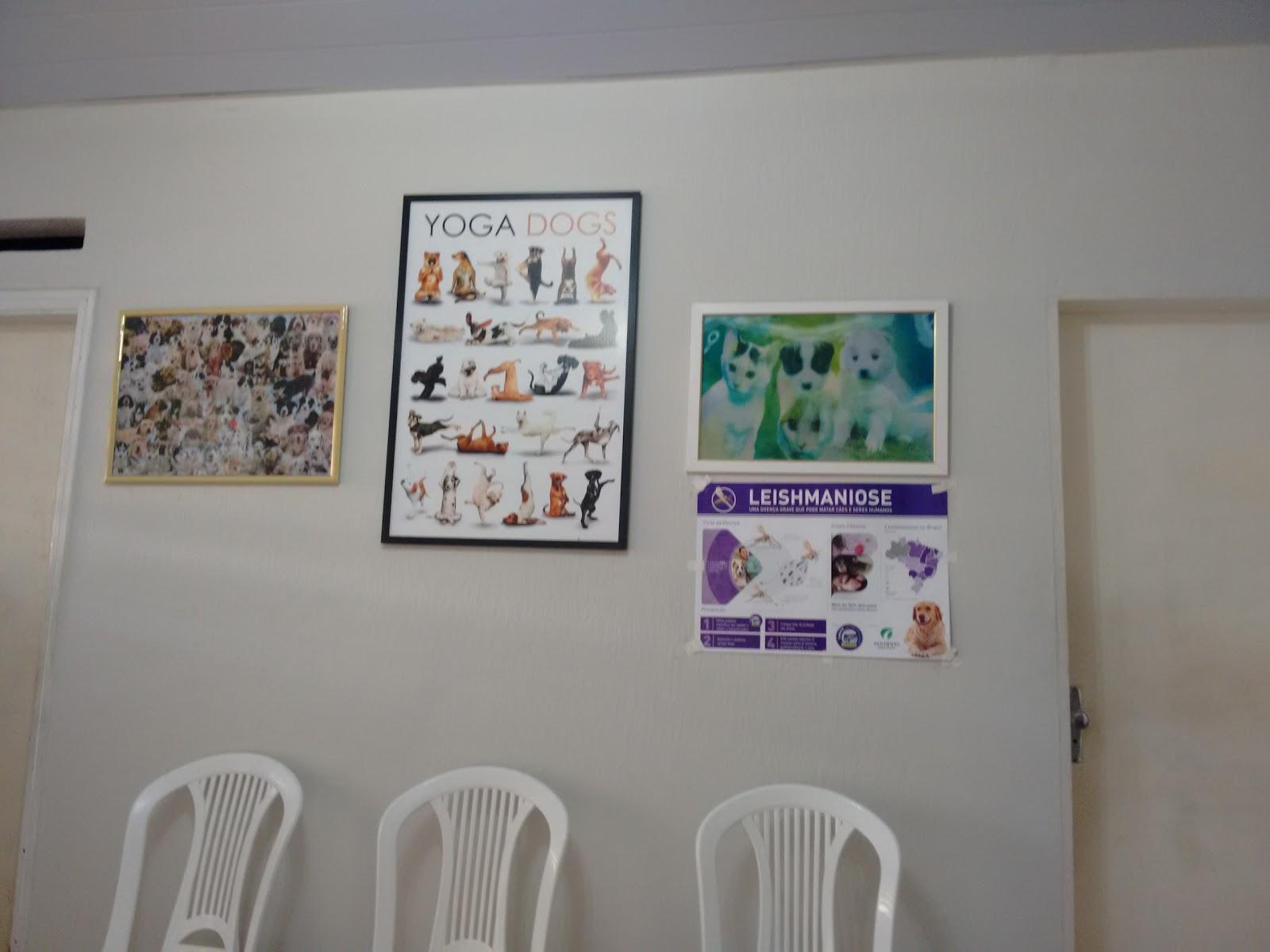 Consultório Veterinário Maurício Guilherme Correia