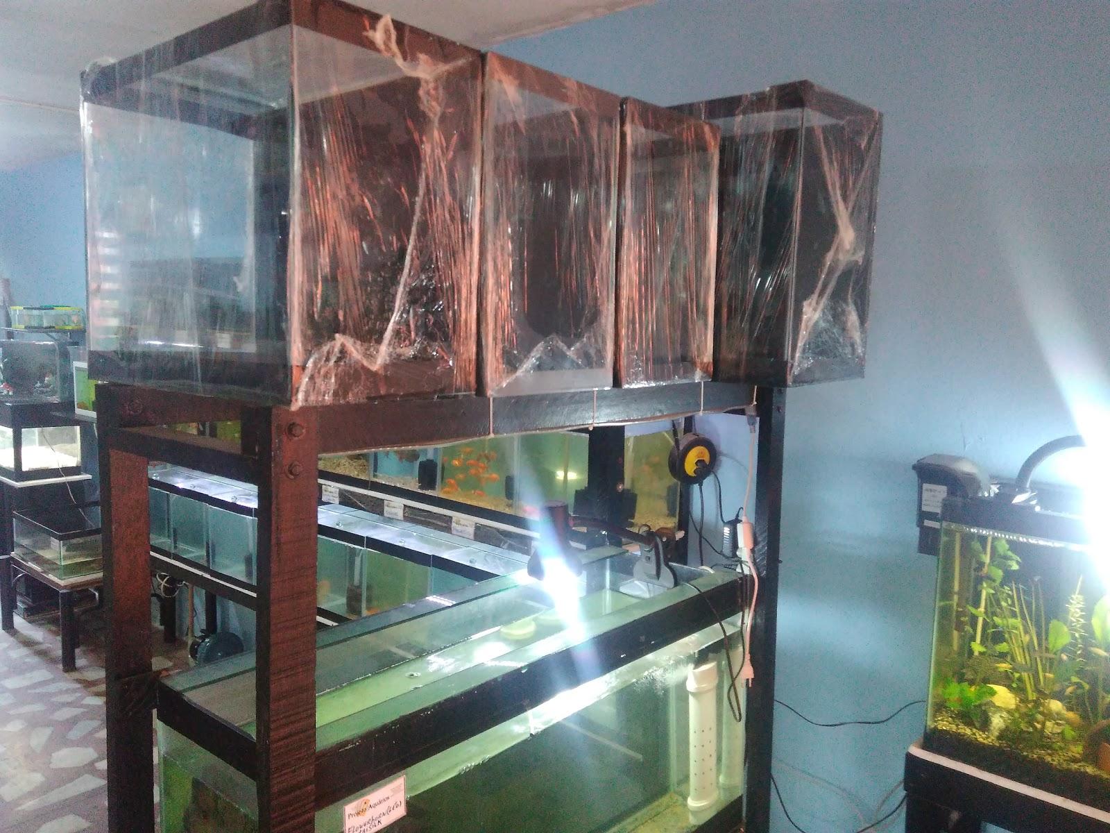 Projeto Aquário Recife