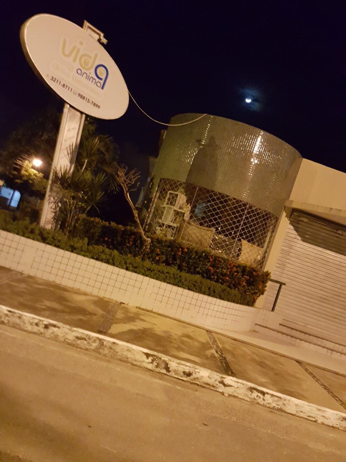 Vida Animal