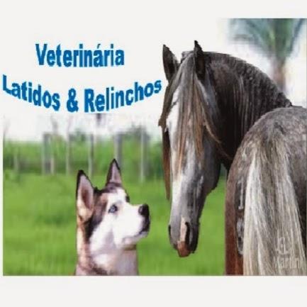 Veterinária Latidos e Relinchos