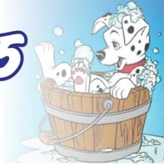 Pet Shop 45 - Life